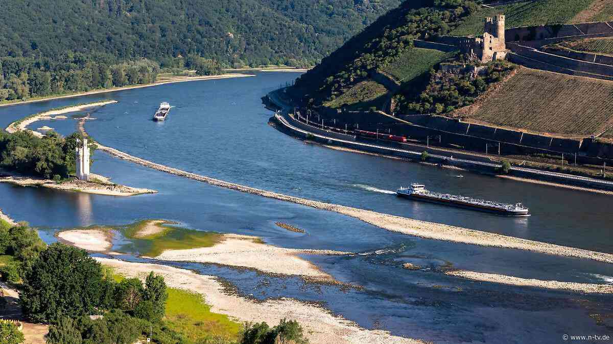 "In 45 Jahren noch nicht erlebt": Rhein-Pegel schon früh im Jahr sehr niedrig