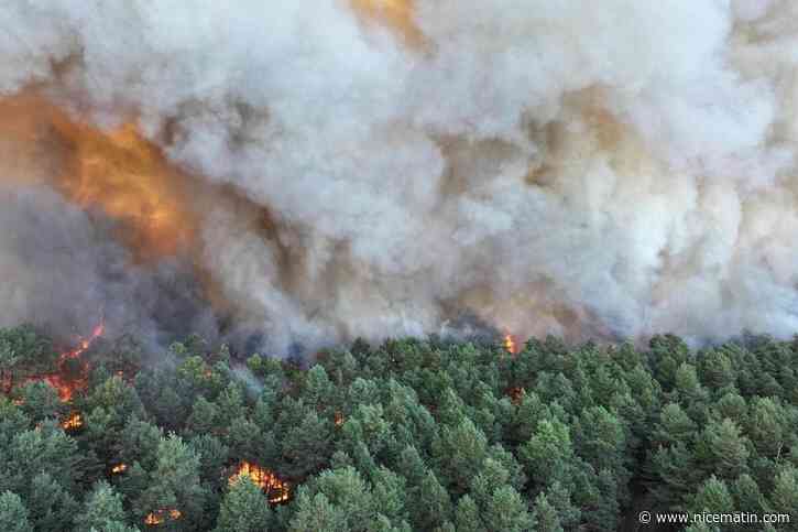Les impressionnantes photos et vidéos du feu inédit qui ravage la forêt de Fontainebleau, non loin de Paris
