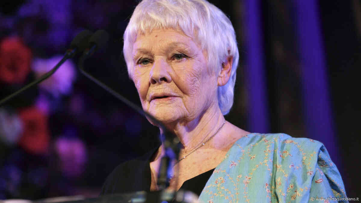 “Ho infilato un topo morto nella cassetta della posta della mia vicina di casa dopo una lite”: la confessione spiazzante di Judi Dench