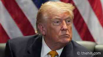 Trump shares video calling for 'hardcore communist bastards' like Mamdani to be deported