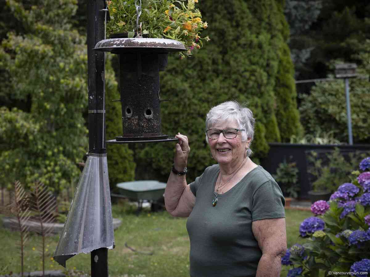 B.C. woman concerned dove release ceremonies cause birds to suffer
