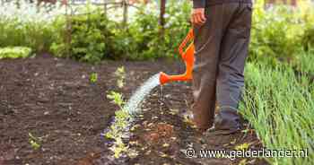 Kurkdroog en toch staat jouw tuin er piekfijn bij? Deel je beste tips!