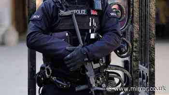 Anti-terror police make 12 arrests after 'far right threat' to Suffolk Islamic event