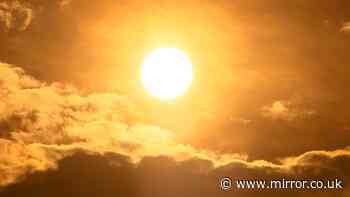 Heatwaves saw 2,700 extra deaths in UK with 29 drowned