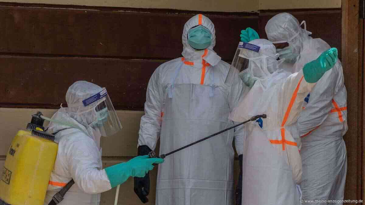 Amerikaner mit Ebola infiziert – WHO befürchtet massiv höhere Dunkelziffer bei Ausbruch
