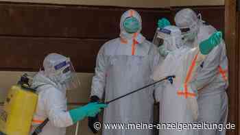 Amerikaner mit Ebola infiziert – WHO befürchtet massiv höhere Dunkelziffer bei Ausbruch
