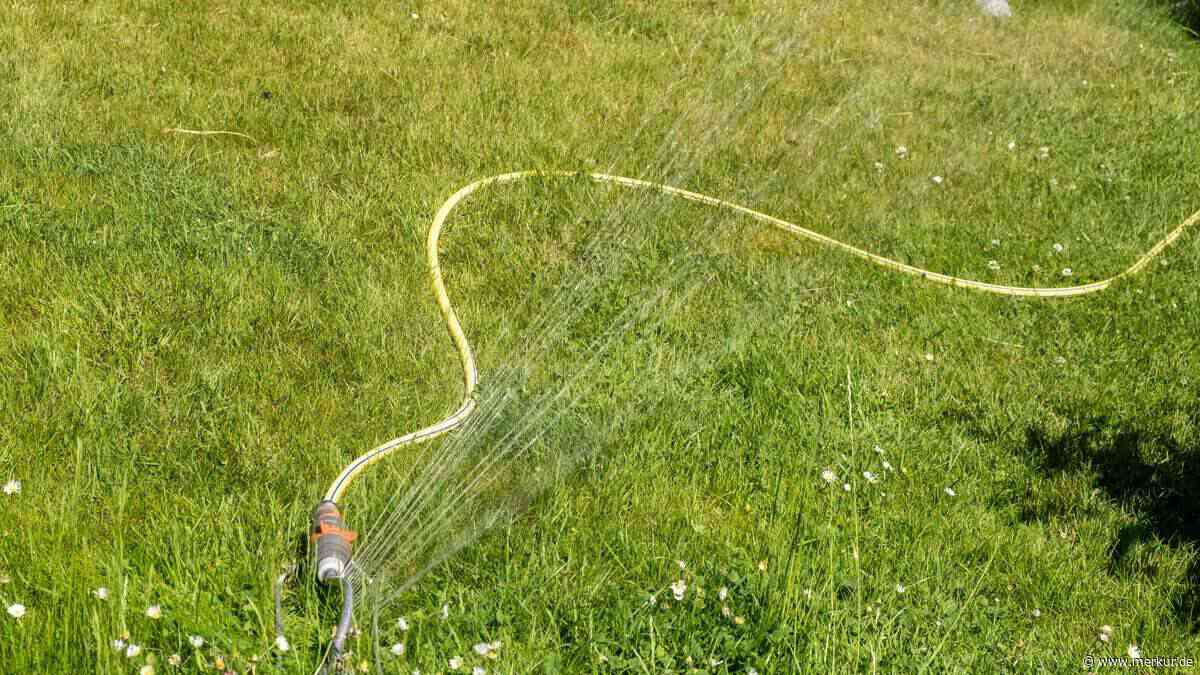 Dieser Trick rettet Ihren Rasen: Warum Sie jetzt sofort ein Marmeladenglas in den Garten stellen sollten