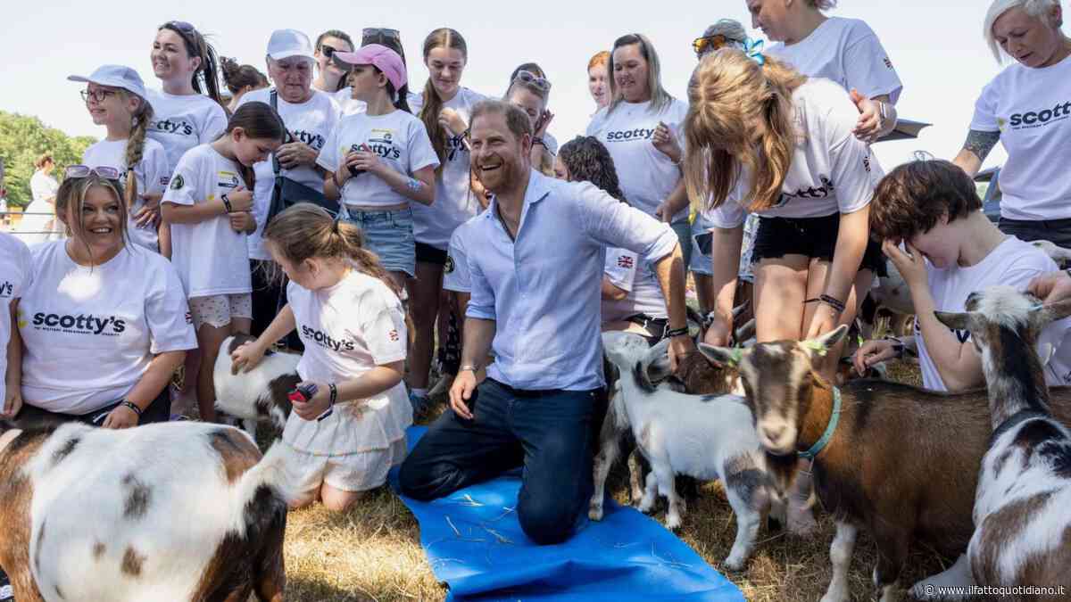 “Senti la capra dentro di te”: il principe Harry partecipa a una sessione di yoga con le caprette ma una gli salta addosso. I tabloid: “Proteggi i gioielli della Corona”