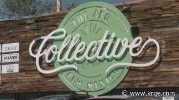 ABQ Collective hosts second annual Book Fest