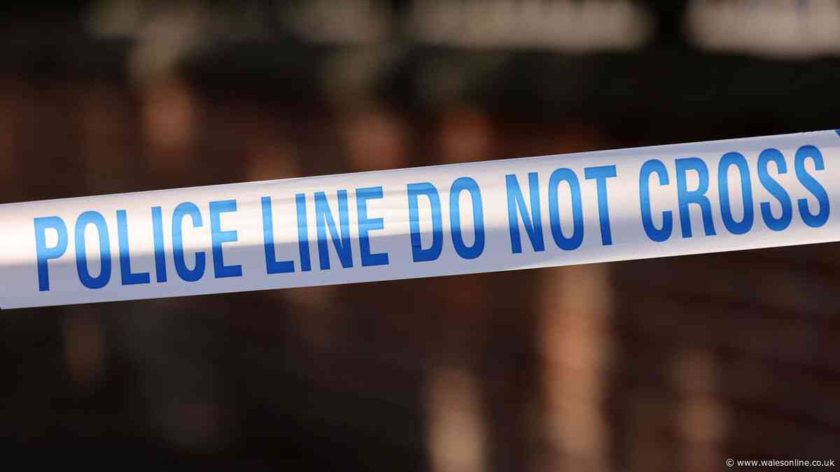 Police arrest 12 in terror probe over suspected far-right threat to Suffolk Islamic event