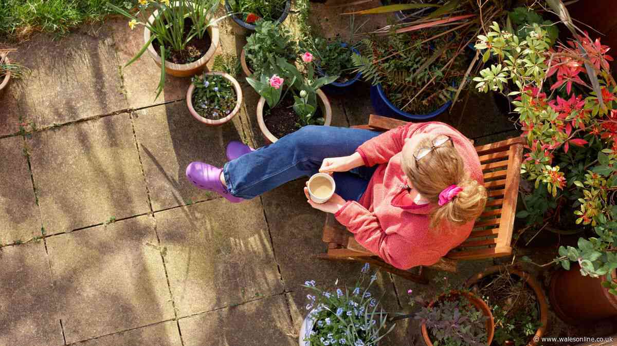 Alan Titchmarsh says patios will 'feel bigger' this summer with easy addition