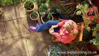 Alan Titchmarsh says patios will 'feel bigger' this summer with easy addition