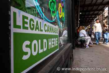 More US workers are testing positive for cannabis and it has employers worried they are high on the job