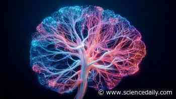 Scientists discovered the brain doesn't make decisions the way we thought
