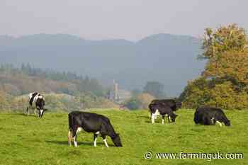 Farm groups call for overhaul of livestock emissions accounting
