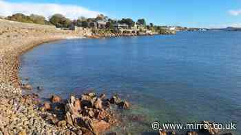 Woman dies after swimming at Plymouth beauty spot