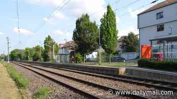 Mother is killed by train as she pushes her daughter, two, to safety after walking onto railway crossing