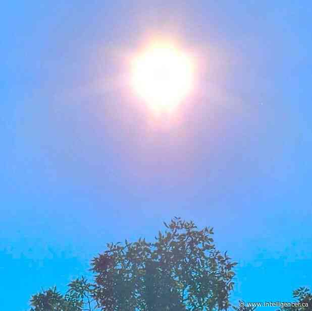 Heat wave conditions to bake Quinte this week, say forecasters