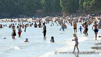 Met Office verdict on when heatwave will end with thunderstorms on the way