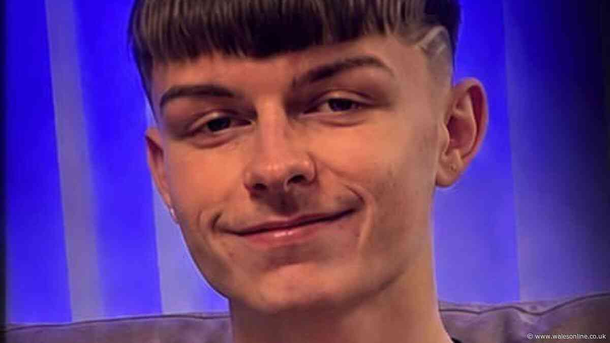 Teenager at centre of Gorseinon murder probe 'brought joy to everyone who knew him'