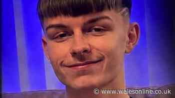 Teenager at centre of Gorseinon murder probe 'brought joy to everyone who knew him'