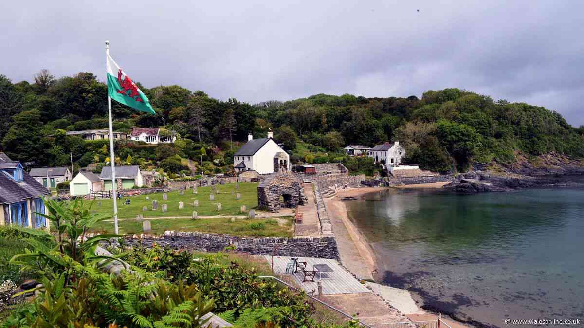 This quiet valley walk connects two of Pembrokeshire’s prettiest beaches