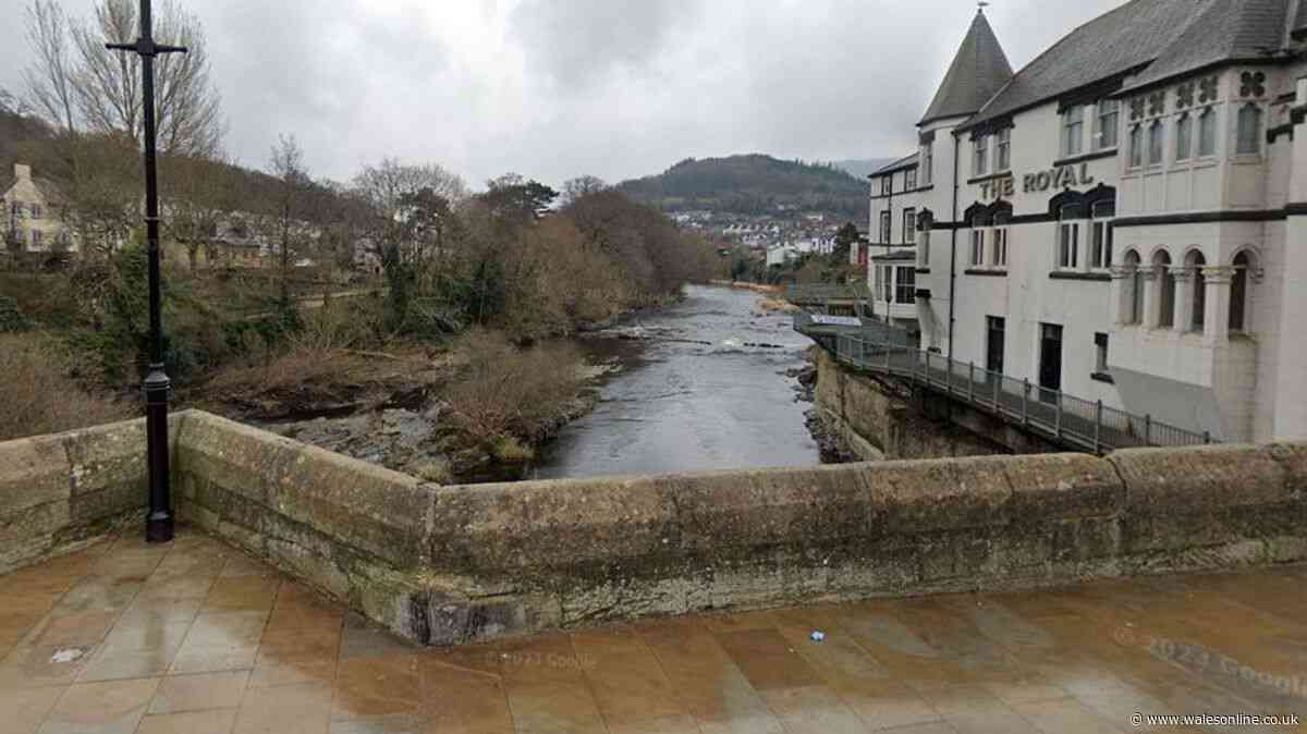 Man dies after jumping from bridge into Welsh river