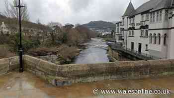 Man dies after jumping from bridge into Welsh river