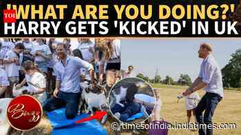 Prince Harry Cries 'ouch'; Goat Kick Sparks Viral Moment