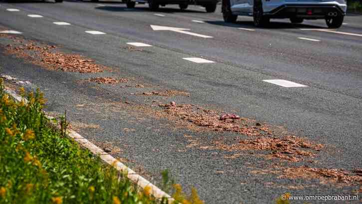 Vrachtwagen laat spoor van slachtafval achter, stank niet te harden