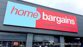 'Sleep comfortably on flights' with £5 Home Bargains item 'perfect for travelling'