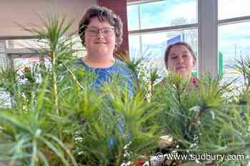 Rainbow Board one of four in Canada to get 100% EcoSchools certification