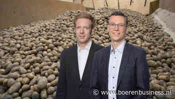 Oude aardappelen zijn fabriek nu (heel) wat waard