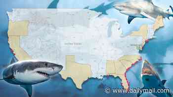 Urgent warning as sharks move into unexpected US waters: Shocking map reveals popular US beaches now in the danger zone