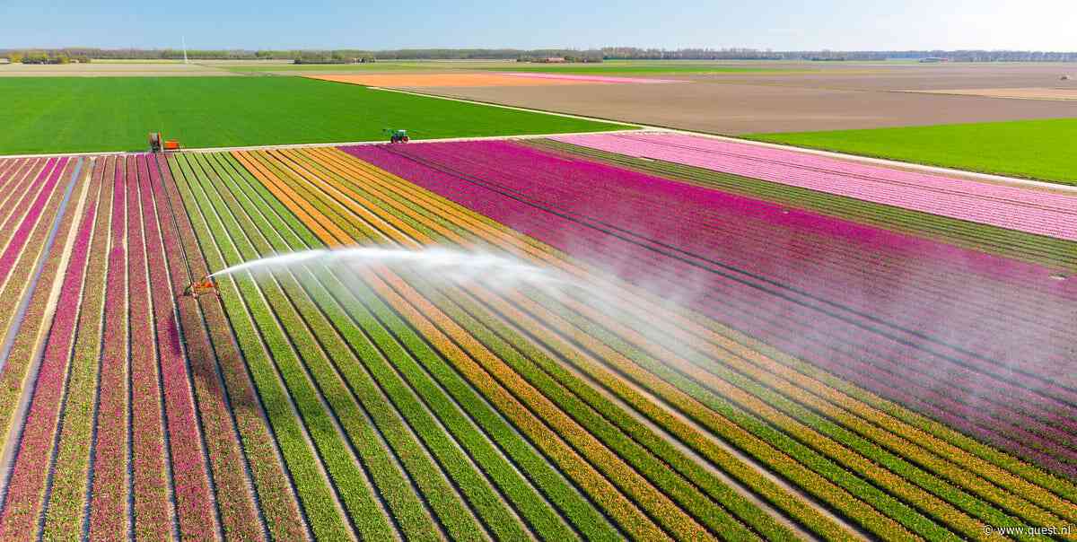 Hoe ontstaat droogte in Nederland - als de hoeveelheid water op aarde hetzelfde blijft?