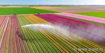 Hoe ontstaat droogte in Nederland - als de hoeveelheid water op aarde hetzelfde blijft?