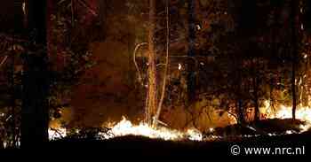 De uitzonderlijke brand in het bos van Fontainebleau treft een ecologische, historische en toeristische hotspot van Frankrijk