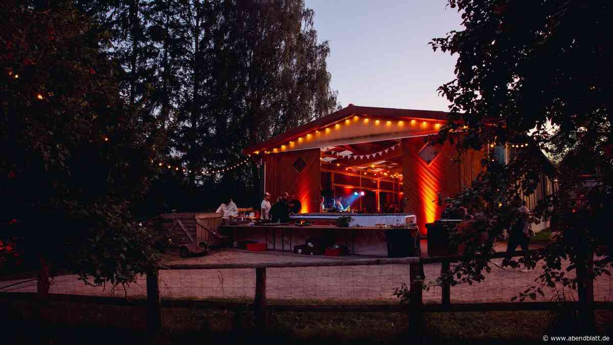 Hinter Duvenstedt: Ans Gut Wulksfelde kommt jetzt ein eigenes Pop-Musikfestival