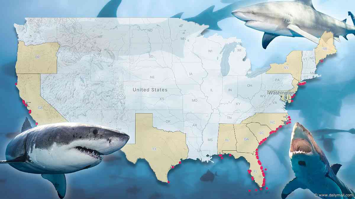 Urgent warning as sharks move into unexpected US waters: See the popular beaches where predators are now lurking