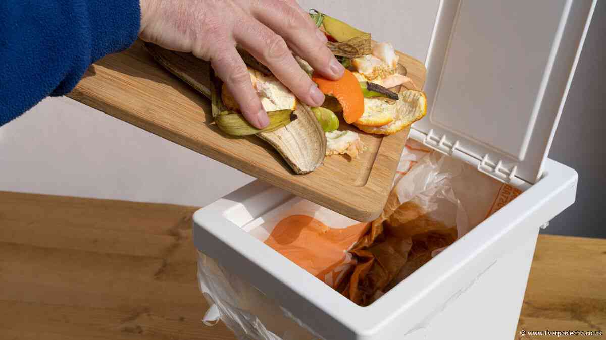 Binman issues 'please don't' warning to Brits over common food waste bin mistake