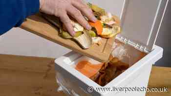 Binman issues 'please don't' warning to Brits over common food waste bin mistake