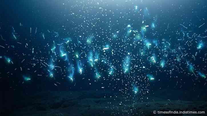 Scientists say crushing deep-ocean pressure squeezes hidden nutrients out of sinking marine snow, feeding microbes and changing what we know about Earth’s carbon cycle