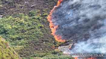 Dozens of homes evacuated as battle to control huge wildfire continues - live updates