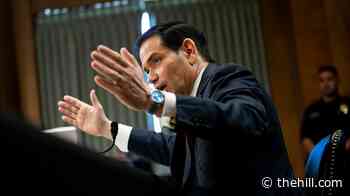 Rubio vows diplomatic campaign to 'dismantle' ICC in escalating row