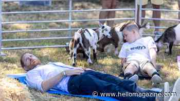 The moment Prince Harry's crown jewels are injured by a rambunctious goat