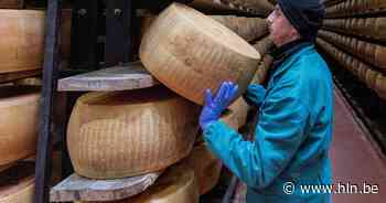 Aanhoudende hitte in Italië bedreigt productie van Parmezaanse kaas
