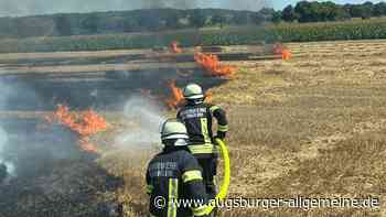 Getreidefeld gerät in Brand: Feuerwehr und Landwirte im Löscheinsatz
