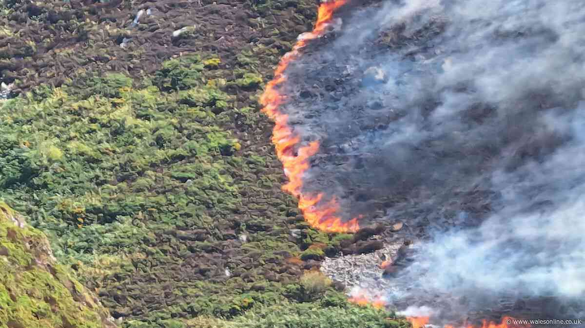 Fire service issues update on huge blaze which saw homes evacuated - live updates