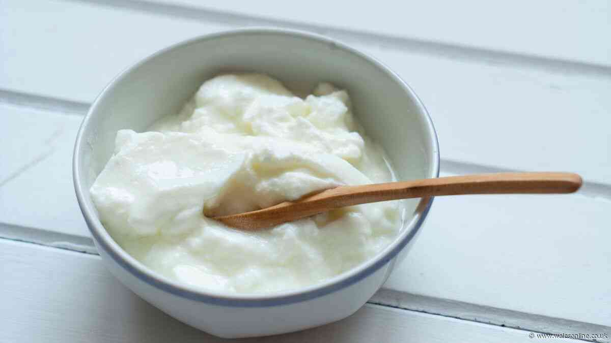 95p supermarket Greek yoghurt tops taste test beating Yeo Valley