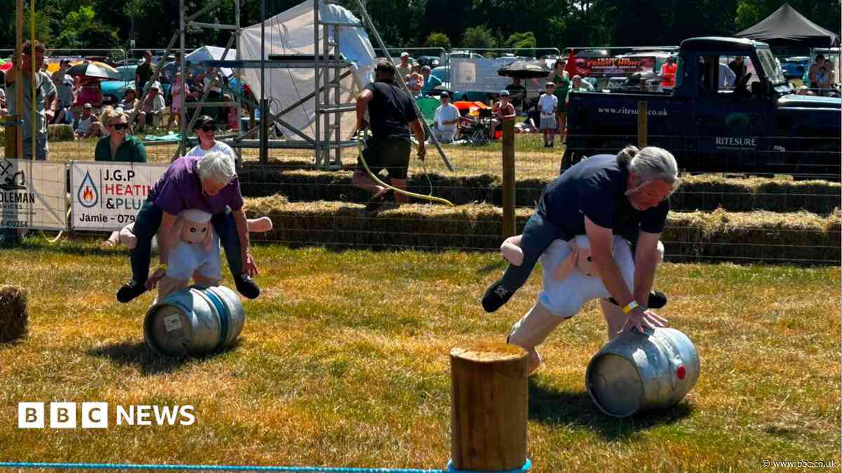 People compete in sheep races because of heatwave
